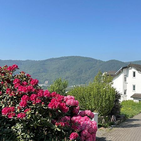 Ferienwohnung Rhein-Panorama Lahnstein Extérieur photo