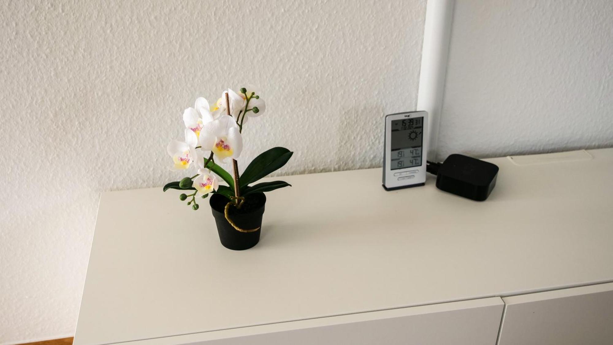 Ferienwohnung Rhein-Panorama Lahnstein Extérieur photo