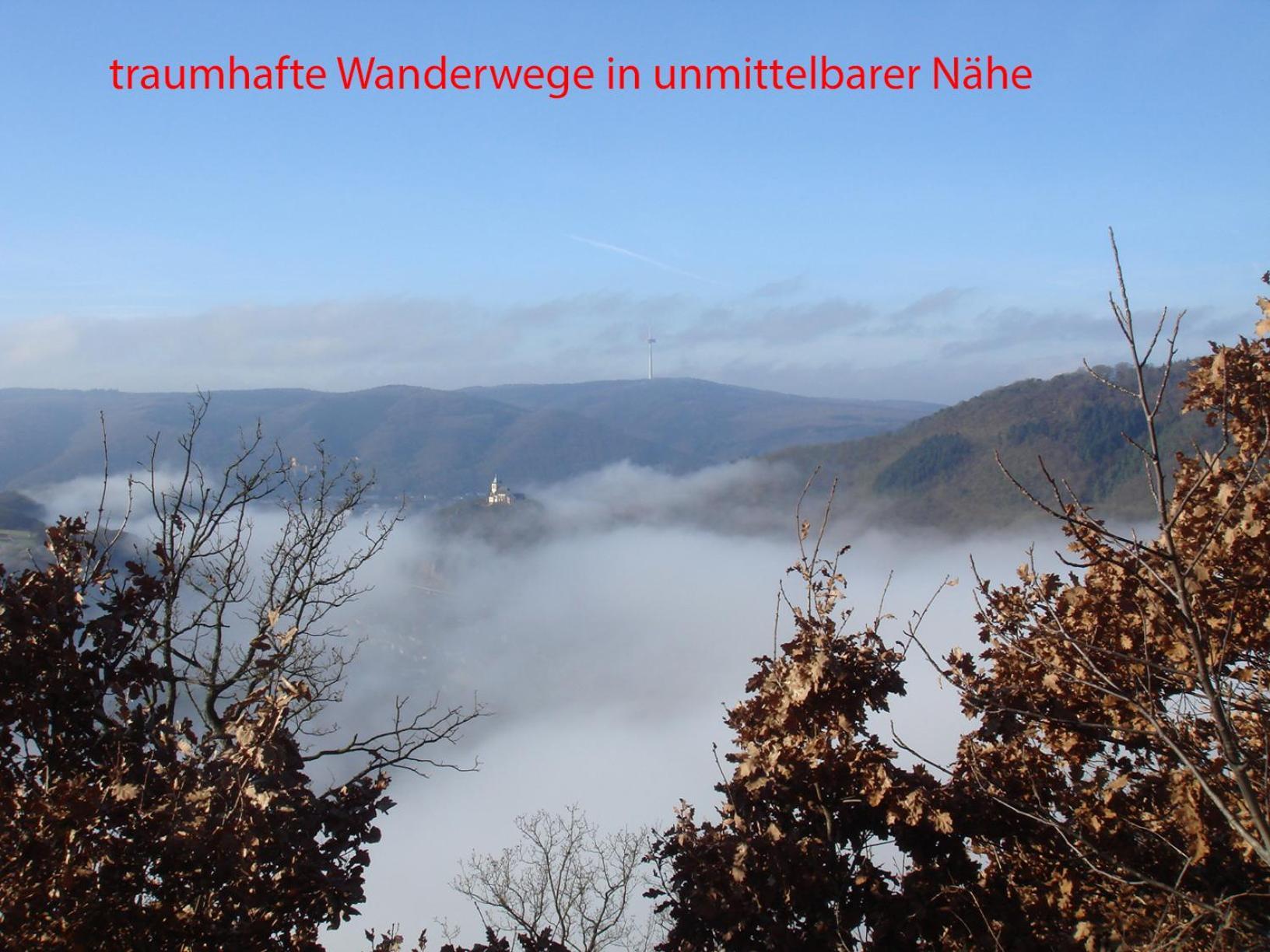Ferienwohnung Rhein-Panorama Lahnstein Extérieur photo